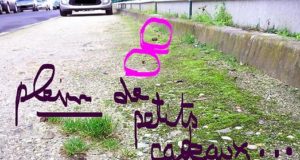 Vous aimez votre chien? Faites en sorte que je ne le déteste pas… Cf: crottes et cie caca-chiens-rues-bordeaux-2