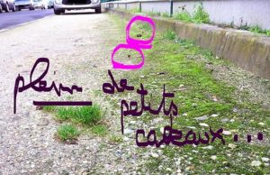 Vous aimez votre chien? Faites en sorte que je ne le déteste pas… Cf: crottes et cie caca-chiens-rues-bordeaux-2