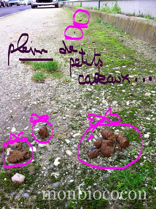 Vous aimez votre chien? Faites en sorte que je ne le déteste pas… Cf: crottes et cie caca-chiens-rues-bordeaux-2