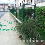 sapin-noel