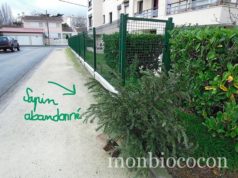 J’ai constaté l’abandon de sapin. Pour lutter contre je propose le cactus de Noel ! sapin-noel