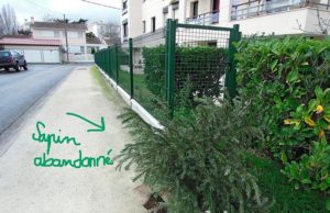 J’ai constaté l’abandon de sapin. Pour lutter contre je propose le cactus de Noel ! sapin-noel