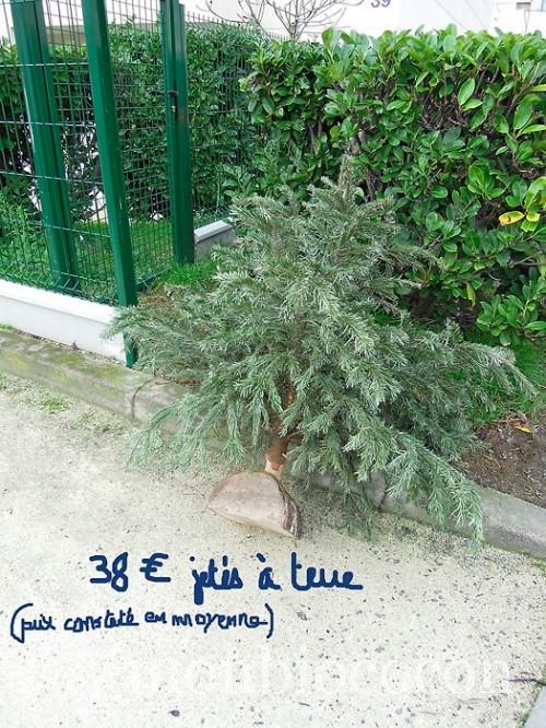 sapin-noel-out