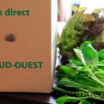 COM3POM-panier-bio-livraison-légumes-bordeaux-agen-toulouse-0