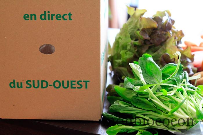 COM3POM-panier-bio-livraison-légumes-bordeaux-agen-toulouse-9