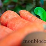 COM3POM-panier-bio-livraison-légumes-bordeaux-agen-toulouse-000