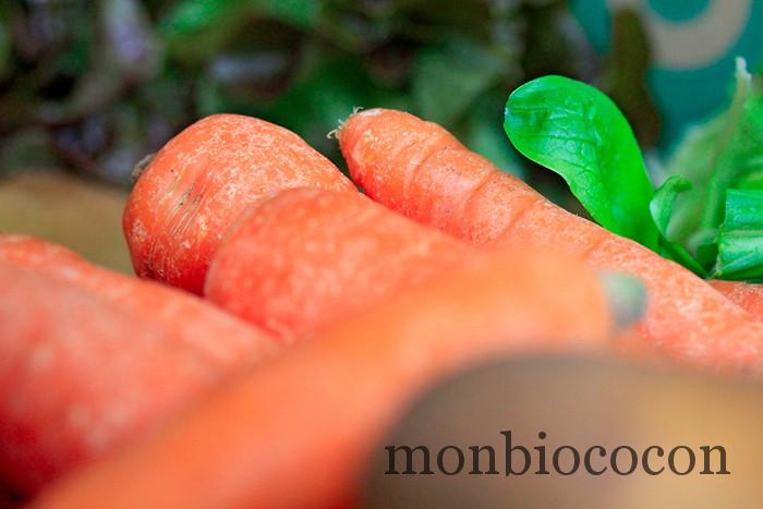 COM3POM-panier-bio-livraison-légumes-bordeaux-agen-toulouse-9