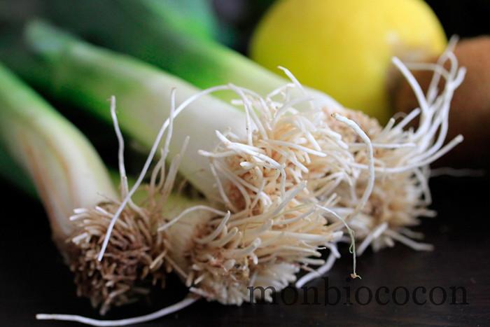 COM3POM-panier-bio-livraison-légumes-bordeaux-agen-toulouse-9