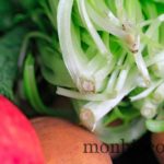 COM3POM-panier-bio-livraison-légumes-bordeaux-agen-toulouse-3