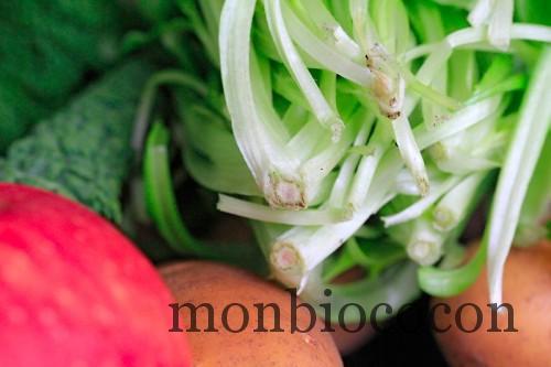 COM3POM-panier-bio-livraison-légumes-bordeaux-agen-toulouse-3