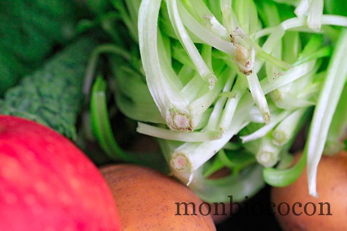 COM3POM-panier-bio-livraison-légumes-bordeaux-agen-toulouse-9