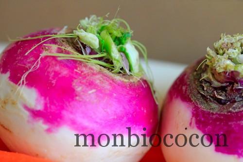 COM3POM-panier-recette-pot-au-feu-légumes-agen-