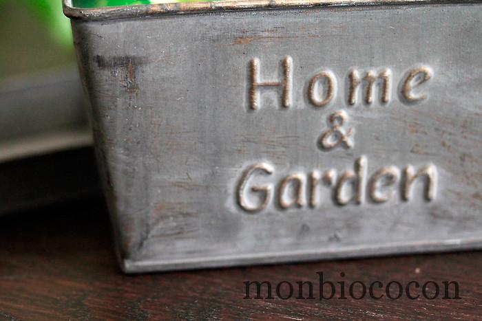 coffret-jardin-petit-jardin-en-pot-mini-kit-larousse-9