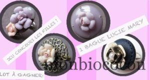 concours-lucie-mary-bague-fleur