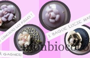 JEU CONCOURS SUR LE BLOG: 1 bague fleur Lucie Mary à gagner, faites votre choix ! concours-lucie-mary-bague-fleur