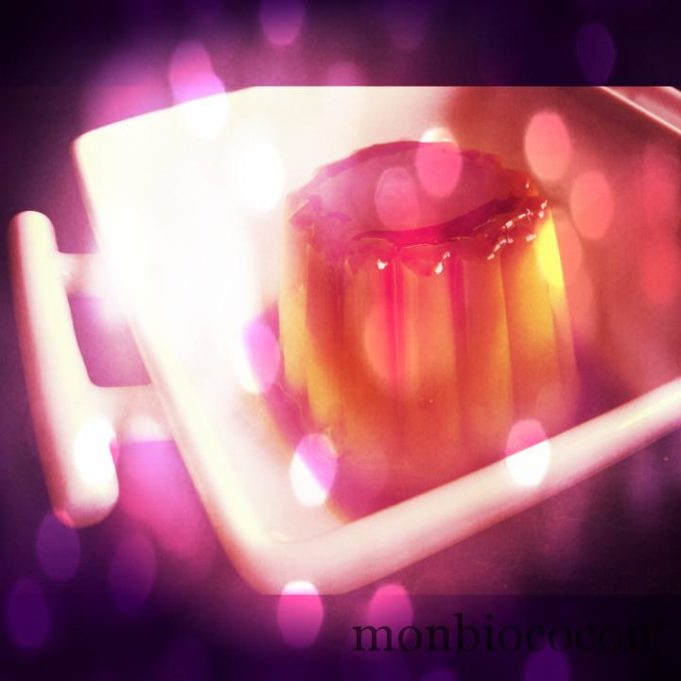 Flamby ‘ mania… Ou mon dessert d’enfance que j’aime troooop… (mais c’est pas le seul) flamby-mon-pêché-mignon-de-mon-enfance-00