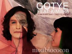 gotye-clip