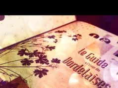 Ca y est, je l’ai !! Le guide à l’usage des Bordelaises édition 2012 ! Youpi tralala !! le-guide-à-l'usage-des-bordelaises-2012-carnet-bordeaux-00