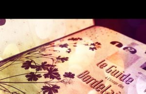 Ca y est, je l’ai !! Le guide à l’usage des Bordelaises édition 2012 ! Youpi tralala !! le-guide-à-l'usage-des-bordelaises-2012-carnet-bordeaux-00