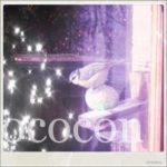 mésange-perchée-boule-graisse-graines-hiver-rebord-de-fenêtre-000