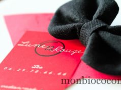 J’ai gagné un concours chez La Ptite Bulle d’Elo, mon lot? un zoli noeud signé Lune Rouge noeud-accessoire-léa-lune-rouge