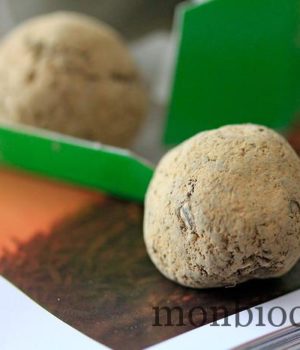bombe-à-graines-guerilla-gardening-11