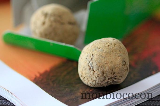 Attention, bombe! Oui mais bombe à graines Aries pour une guerilla urbaine ! Des fleurs partout ! bombe-à-graines-guerilla-gardening-11