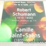 concert-palais-des-sports-