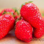 fraises-gariguettes-2012-8