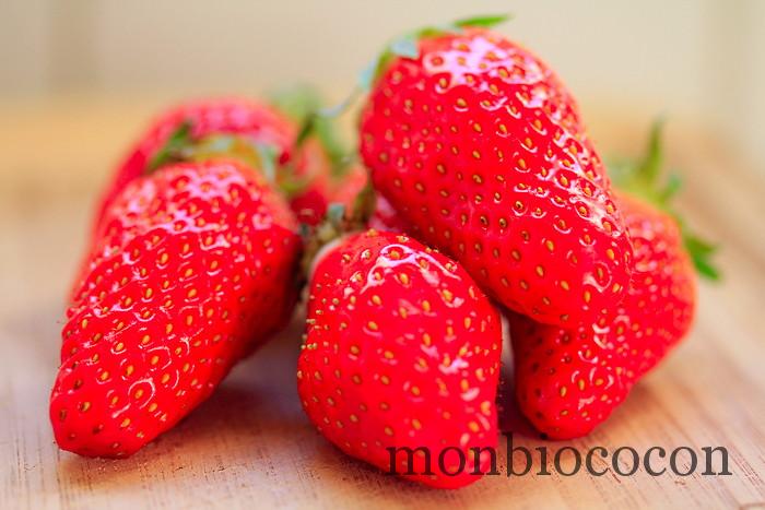 fraises-gariguettes-2012-00