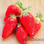 fraises-gariguettes-2012-9