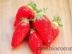 fraises-gariguettes-2012-9