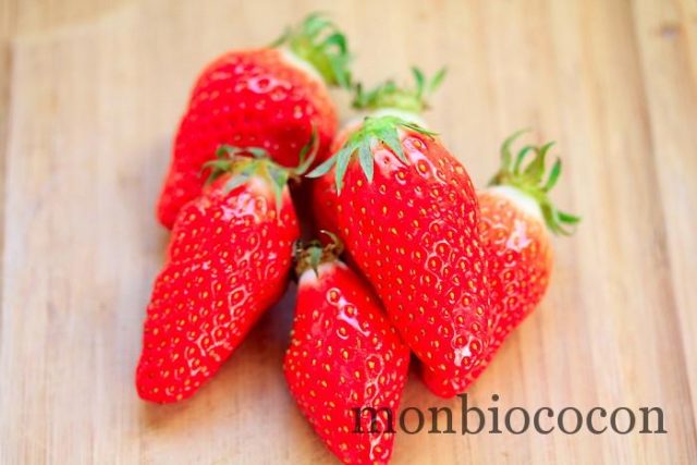 fraises-gariguettes-2012-9