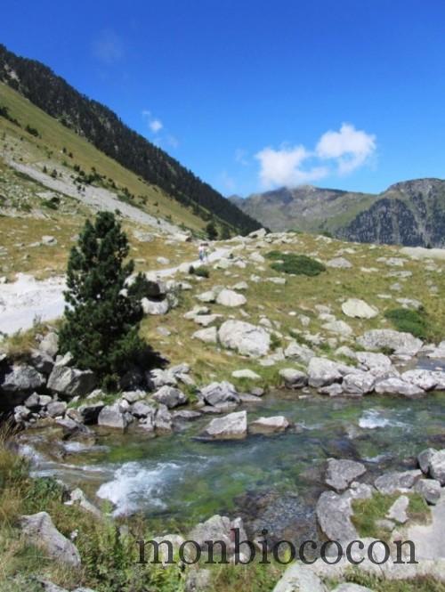 lac de gaube derrière,pyrénées