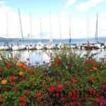 lac léman vu depuis Yvoire