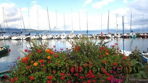 lac léman vu depuis Yvoire