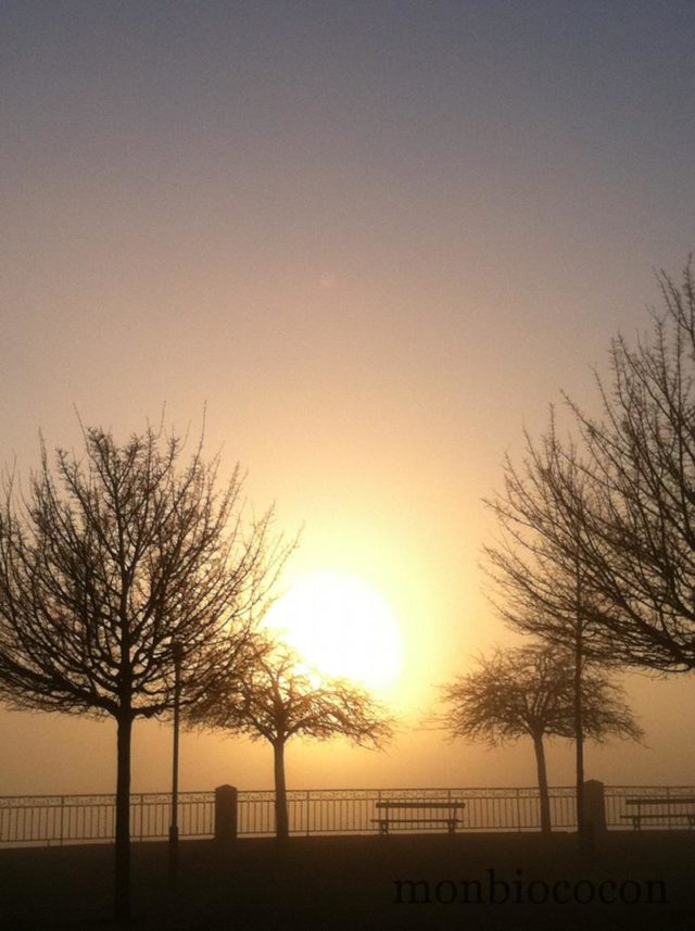 Photo de lever de soleil sur la ville, dans le froid hivernal et la brume, 7h00 a.m lever-de-soleil