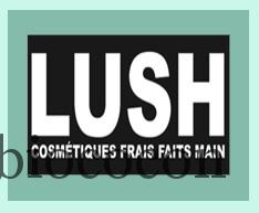 Préparation du concours LUSH de Lundi… Vous aimez les masques frais aux myrtilles ?
