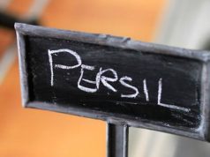 plantation-de-persil-frisé