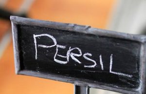 Persil frisé à germer, mes premiers semis, dans ma cuisine. Eh ouais, made by me plantation-de-persil-frisé