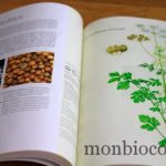 aromatherapia-livre-isabelle-pacchioni