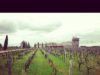chateau-smith-haut-lafitte-gironde-randonnée-aquitaine-0