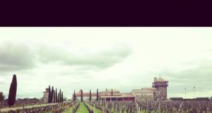 Balade au Château Smith Haut Lafitte, dans les vignes près de Caudalie, en Aquitaine chateau-smith-haut-lafitte-gironde-randonnée-aquitaine-0
