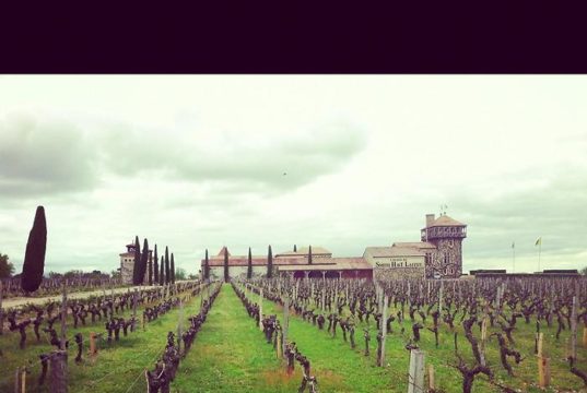 chateau-smith-haut-lafitte-gironde-randonnée-aquitaine-0