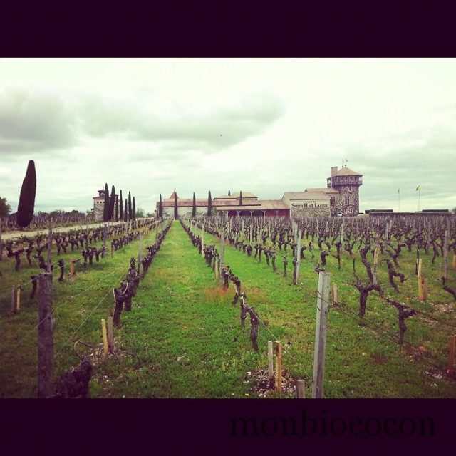 chateau-smith-haut-lafitte-gironde-randonnée-aquitaine-0