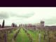 chateau-smith-haut-lafitte-gironde-randonnée-aquitaine-0