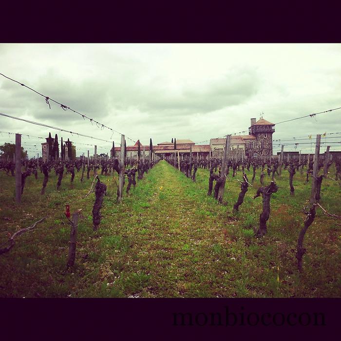 chateau-smith-haut-lafitte-gironde-randonnée-aquitaine