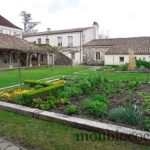 chateau-smith-haut-lafitte-gironde-vignoble-01