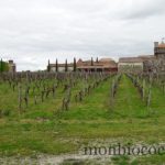chateau-smith-haut-lafitte-gironde-vignoble-02