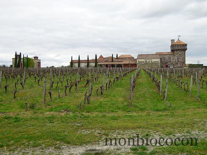 chateau-smith-haut-lafitte-gironde-vignoble-02